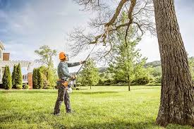 Amherst, TX Tree Services Company